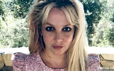 britney spears nude instagram|Britney Spears Poses Completely Naked on the Beach in New。